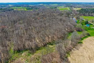 9050 Freeman Rd, Lisbon, OH 44432 - Photo 45