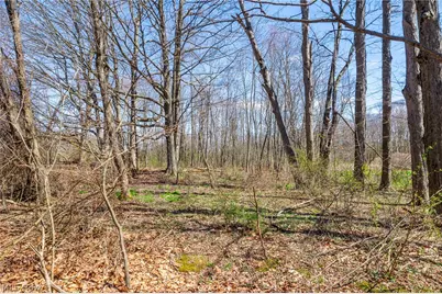9050 Freeman Road, Lisbon, OH 44432 - Photo 43