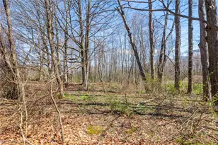 9050 Freeman Rd, Lisbon, OH 44432 - Photo 43