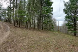 32917 Township Rd 381, Warsaw, OH 43844 - Photo 27