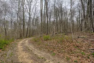 32917 Township Rd 381, Warsaw, OH 43844 - Photo 25