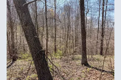 Claysville Rd, Cumberland, OH 43732 - Photo 47