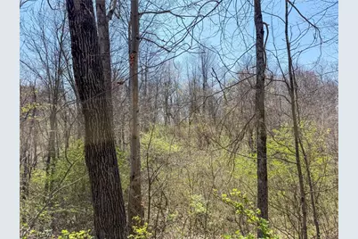 Claysville Rd, Cumberland, OH 43732 - Photo 45