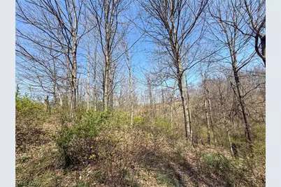 Claysville Rd, Cumberland, OH 43732 - Photo 3