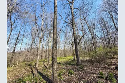 Claysville Rd, Cumberland, OH 43732 - Photo 27