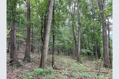1368 Andora Road NE, Carrollton, OH 44615 - Photo 33