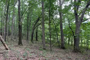 1368 Andora Rd NE, Carrollton, OH 44615 - Photo 39