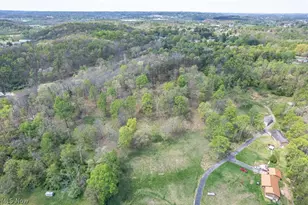 146 Graham Pl, Davisville, WV 26142 - Photo 49