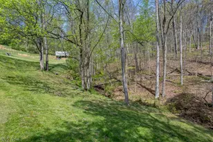 146 Graham Pl, Davisville, WV 26142 - Photo 41