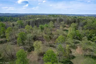 146 Graham Pl, Davisville, WV 26142 - Photo 47