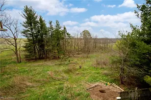 14072 Baddow Pass Rd, Brinkhaven, OH 44611 - Photo 49