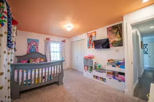 1150 E Beech St, Alliance, OH 44601 - Photo 41