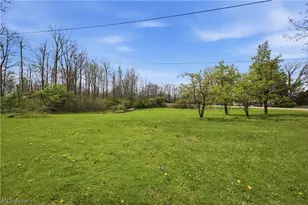 10121 Springfield Rd, Poland, OH 44514 - Photo 41