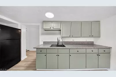 511 Brown Street, Akron, OH 44311 - Photo 9