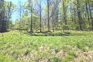 2361 Carpenter Run Rd, Waverly, WV 26184 - Photo 33