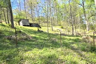 2361 Carpenter Run Rd, Waverly, WV 26184 - Photo 5