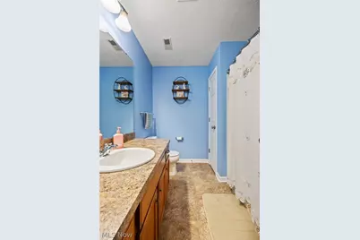 9961 Colmanara Drive, Aurora, OH 44202 - Photo 41