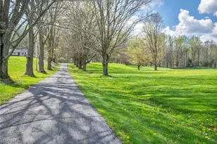 9400 Mennonite Rd, Wadsworth, OH 44281 - Photo 3