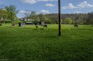 5762 Wadesville Rd, Belleville, WV 26133 - Photo 5