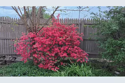 700 Whipple Avenue NW, Canton, OH 44708 - Photo 21