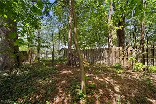 1712 Girard St, Akron, OH 44301 - Photo 23