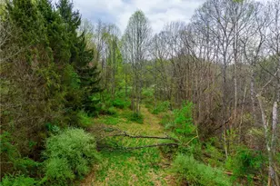 44713 State Route 541, Coshocton, OH 43812 - Photo 31