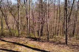 22916 Sams Creek Rd, Laurelville, OH 43135 - Photo 13