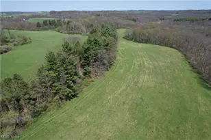 4101 Peace Rd SE, Carrollton, OH 44615 - Photo 31