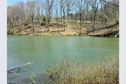 4101 Peace Road SE, Carrollton, OH 44615 - Photo 23
