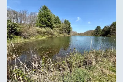 4101 Peace Road SE, Carrollton, OH 44615 - Photo 21