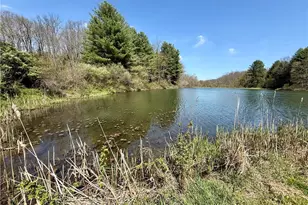 4101 Peace Rd SE, Carrollton, OH 44615 - Photo 21