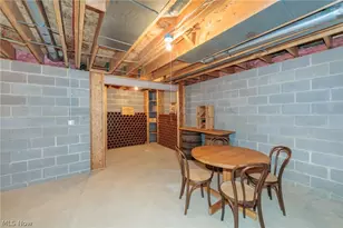 409 Avon Point Ave, Avon Lake, OH 44012 - Photo 41