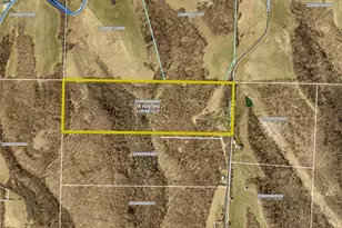 81910 Ourant Rd, Cadiz, OH 43907 - Photo 47