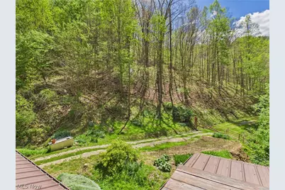 1000 Coon Fork Road, Arnoldsburg, WV 25234 - Photo 39