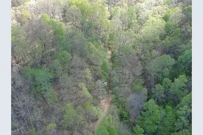 1000 Coon Fork Road, Arnoldsburg, WV 25234 - Photo 45