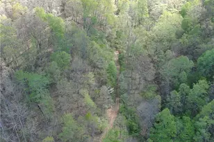 1000 Coon Fork Rd, Arnoldsburg, WV 25234 - Photo 45