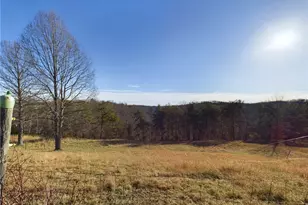 268 Mountain View Dr, Big Spring, WV 26137 - Photo 37