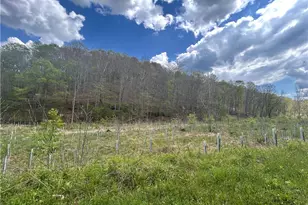 123 Foxtrot Rd, Looneyville, WV 25259 - Photo 45