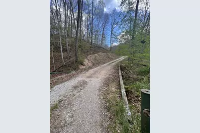 123 Fox Trot Road, Looneyville, WV 25259 - Photo 43