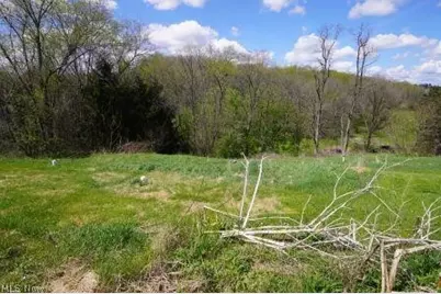 84 Powerhouse Road, Dillonvale, OH 43917 - Photo 33