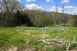 84 Powerhouse Rd, Dillonvale, OH 43917 - Photo 33