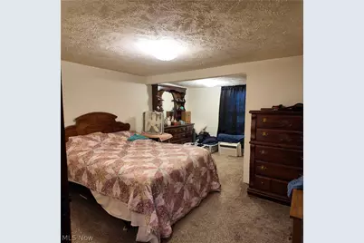 60490 Main Street, Jacobsburg, OH 43933 - Photo 7