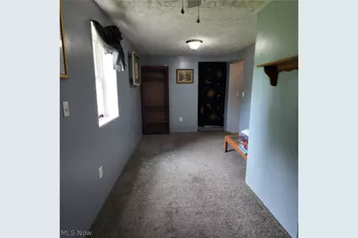 60490 Main Street, Jacobsburg, OH 43933 - Photo 11