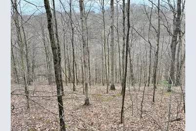 Hanson Road, Beverly, OH 45715 - Photo 5