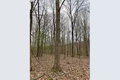 Hanson Road, Beverly, OH 45715 - Photo 37