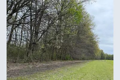V/L Donley Road, Middlefield, OH 44062 - Photo 29