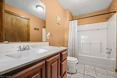 421 S Park Avenue, Alliance, OH 44601 - Photo 9