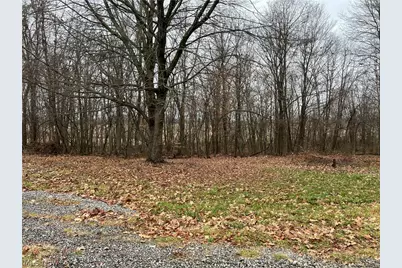 31293 Speidel Road, Hanoverton, OH 44423 - Photo 3