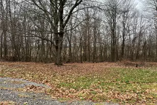31293 Speidel Rd, Hanoverton, OH 44423 - Photo 3