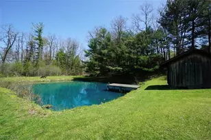 4173 South Ridge Rd E, Geneva, OH 44041 - Photo 33